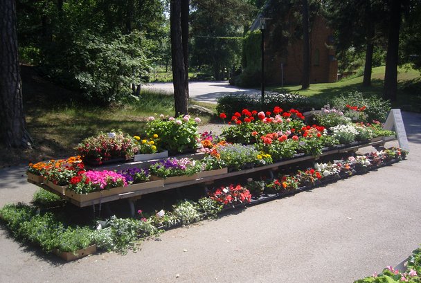 Blommor Västberga