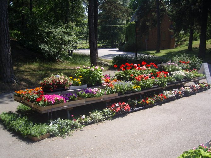 Blommor Västberga begravningsplats - Västberga Blommor